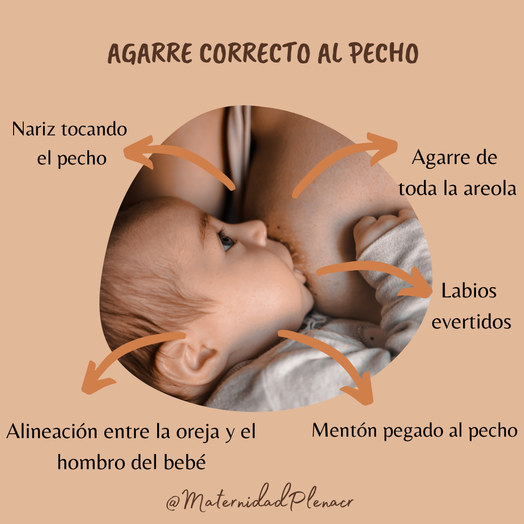 Técnicas De Buen Agarre Al Pecho Maternidad Plena 9574